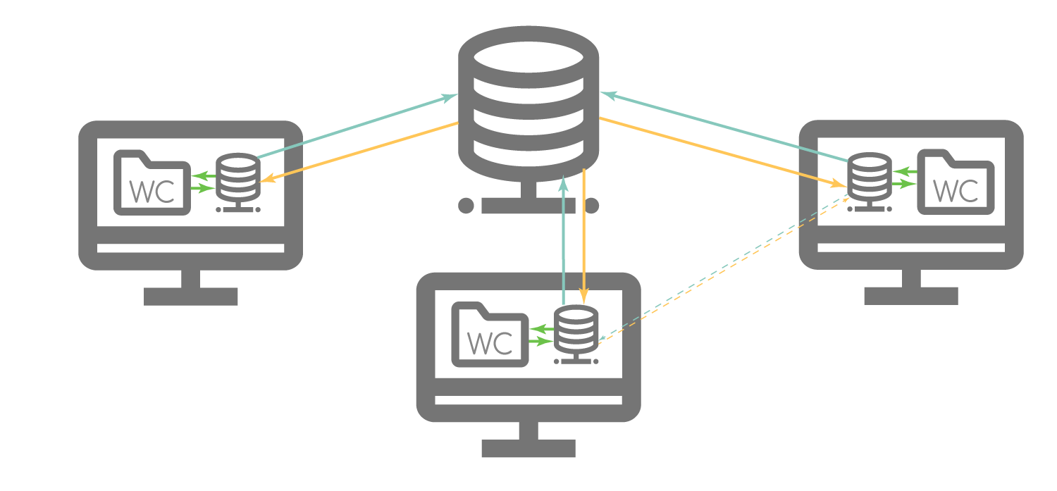 Distributed VCS architecture